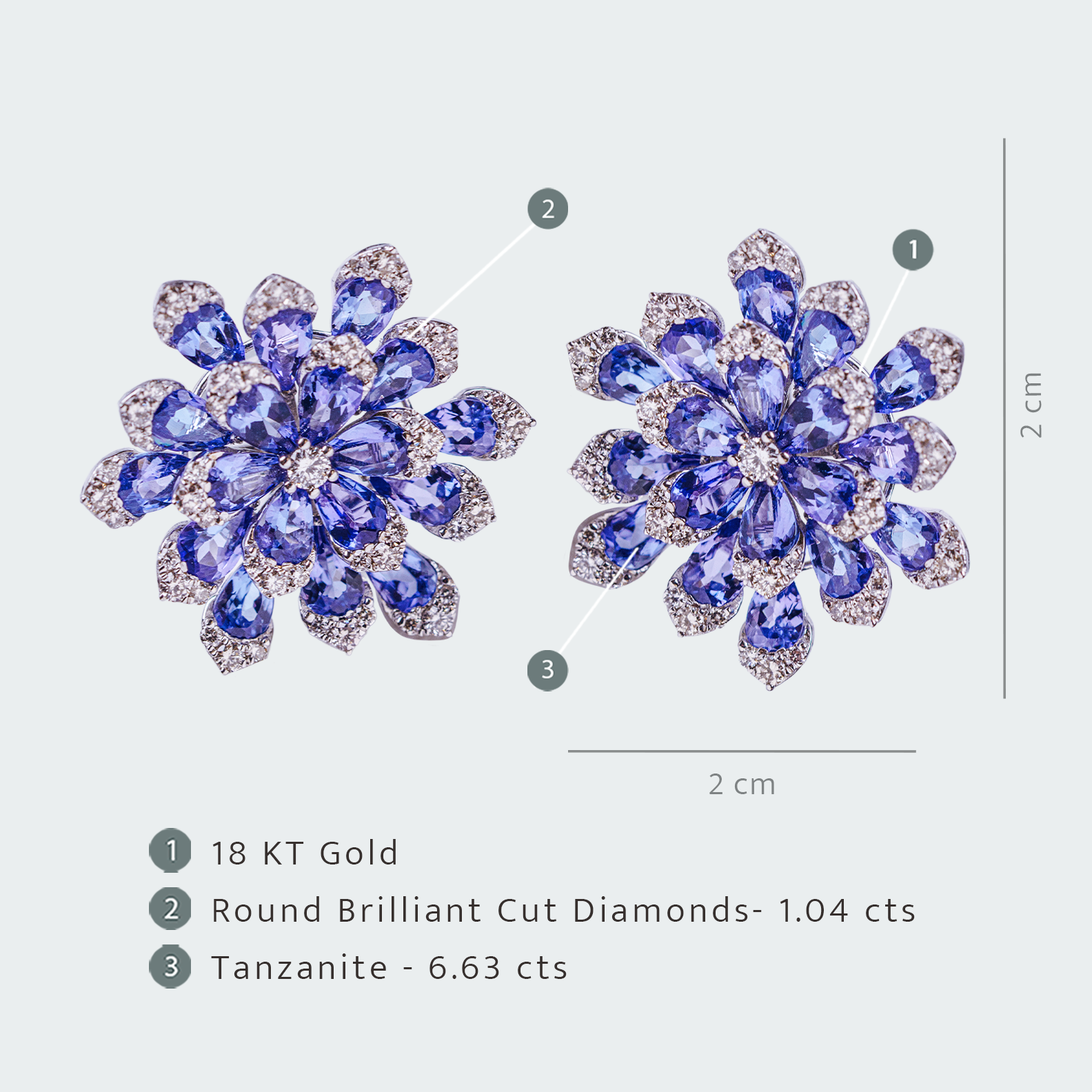 Fiora Tanzanite Diamond Earrings