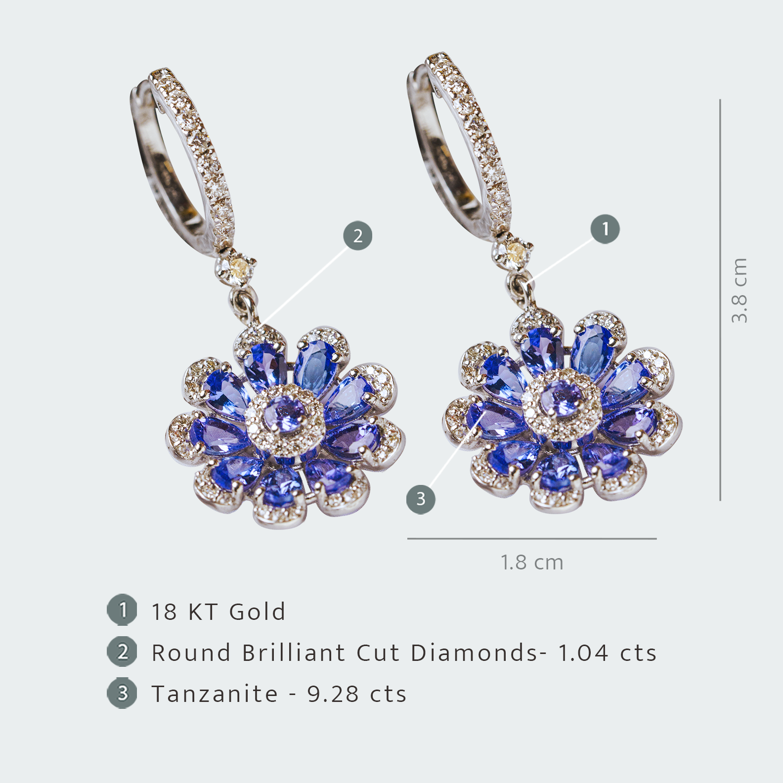 Fiora Tanzanite Hanging Earrings