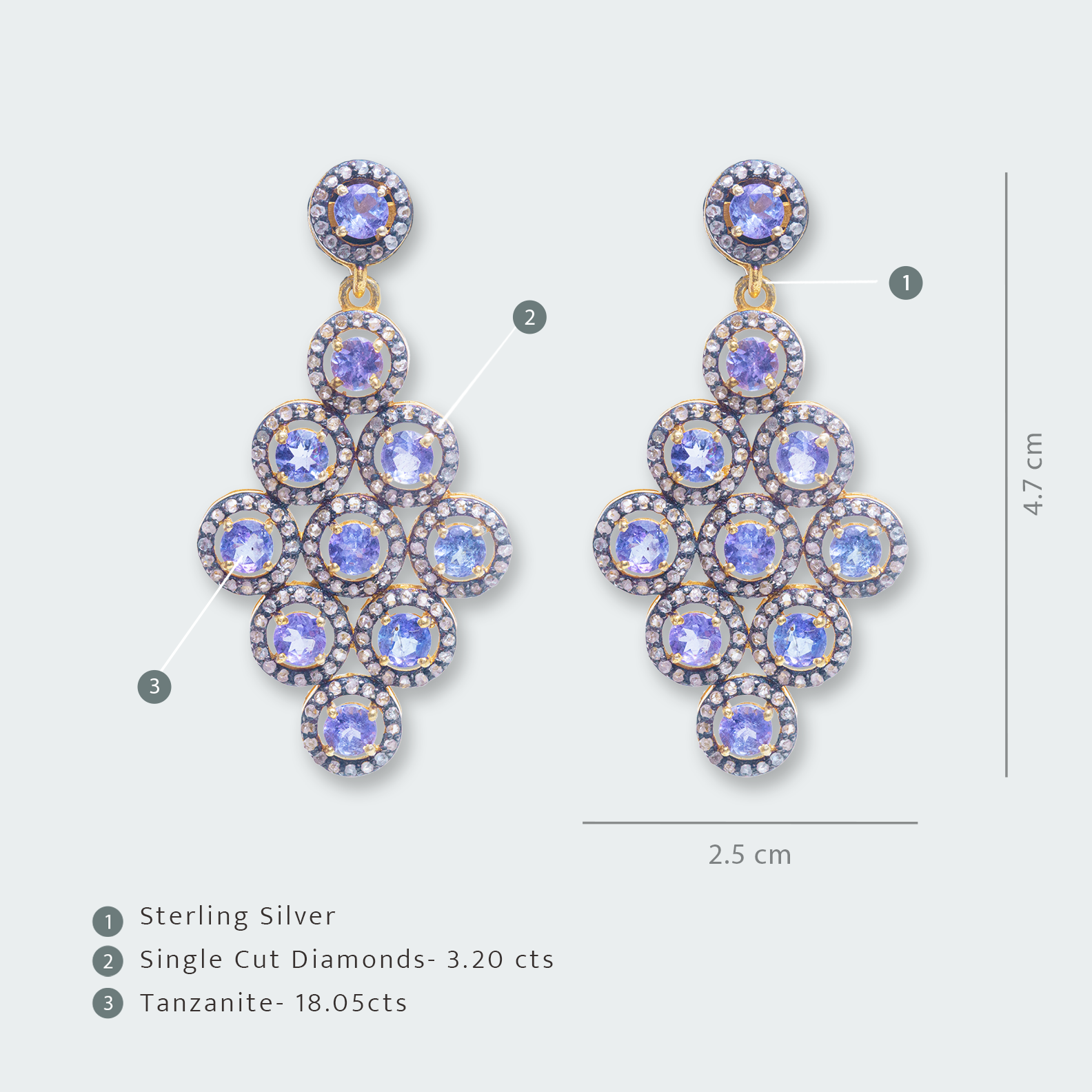 Iris Tanzanite Earrings