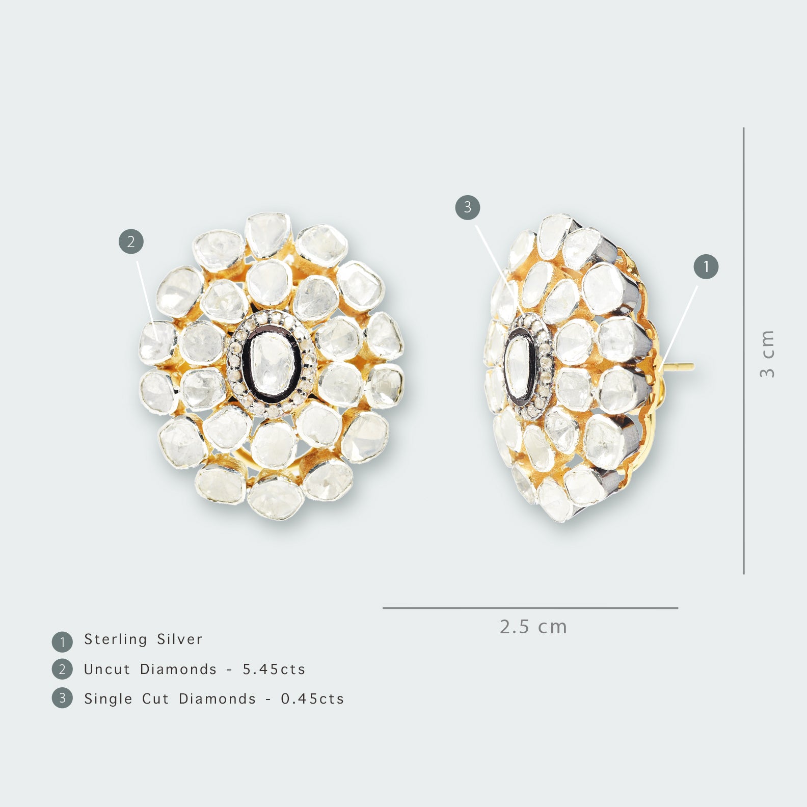 Oval Earrings