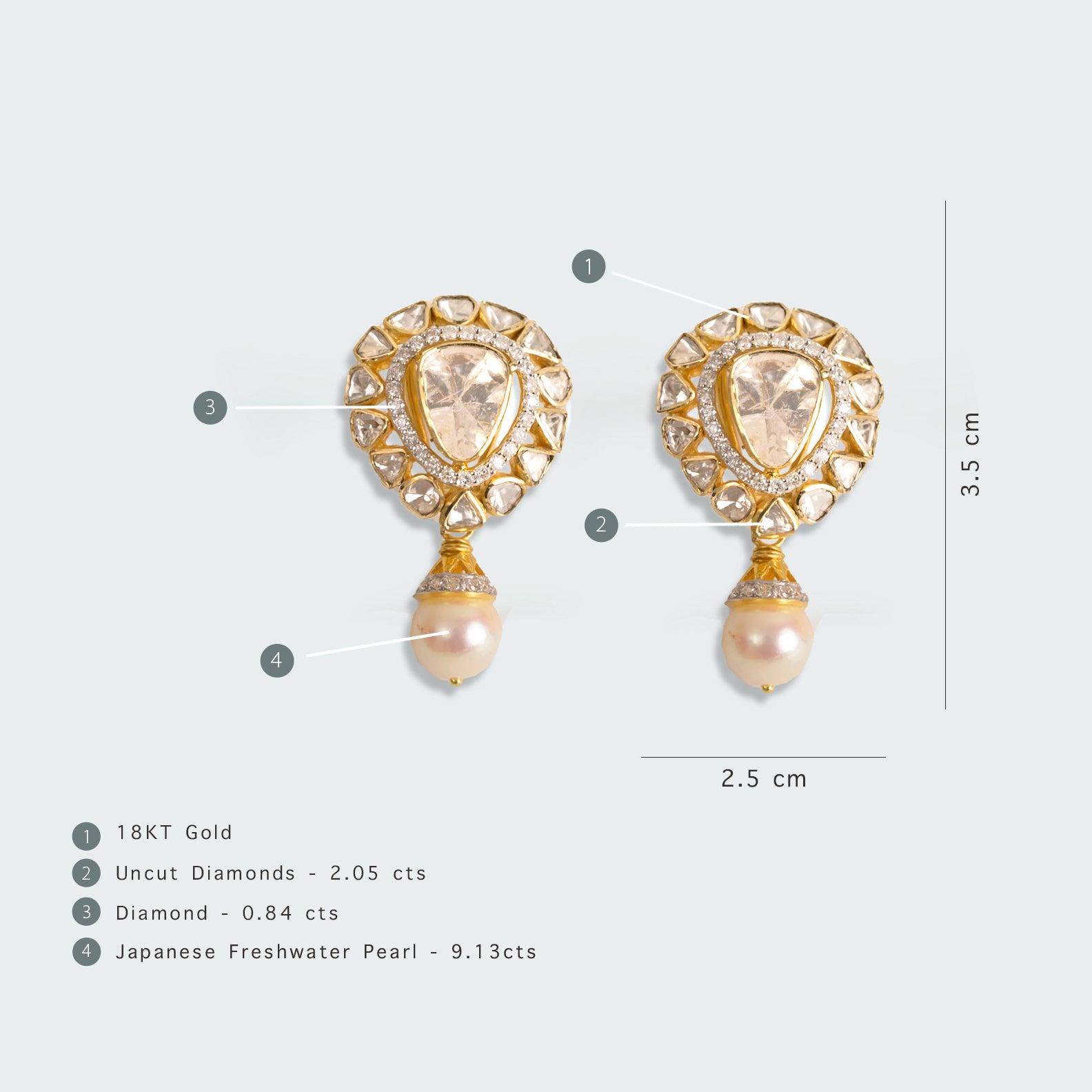 Tanvee Earrings